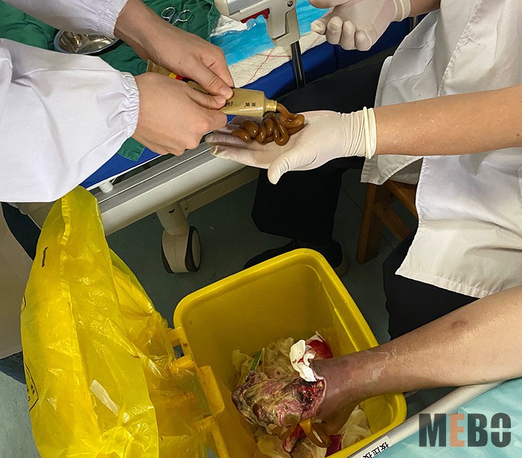 zoty中欧·(中国有限公司)官方网站