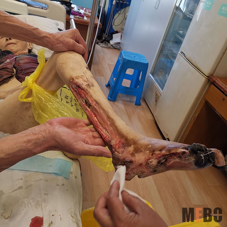 zoty中欧·(中国有限公司)官方网站