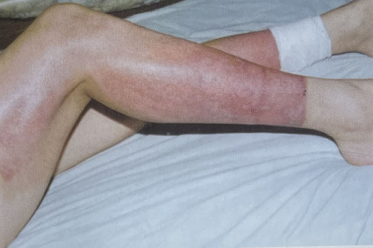 zoty中欧·(中国有限公司)官方网站