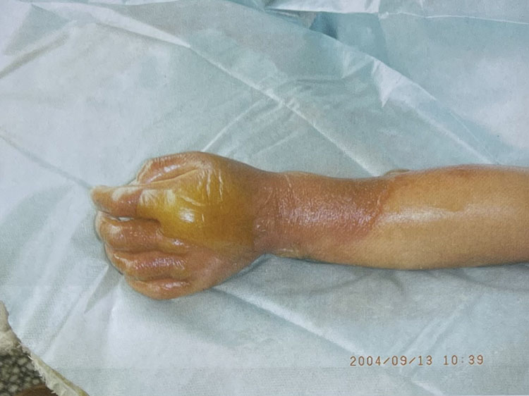 zoty中欧·(中国有限公司)官方网站