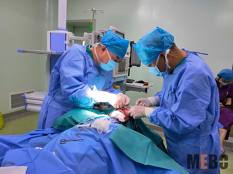 zoty中欧·(中国有限公司)官方网站