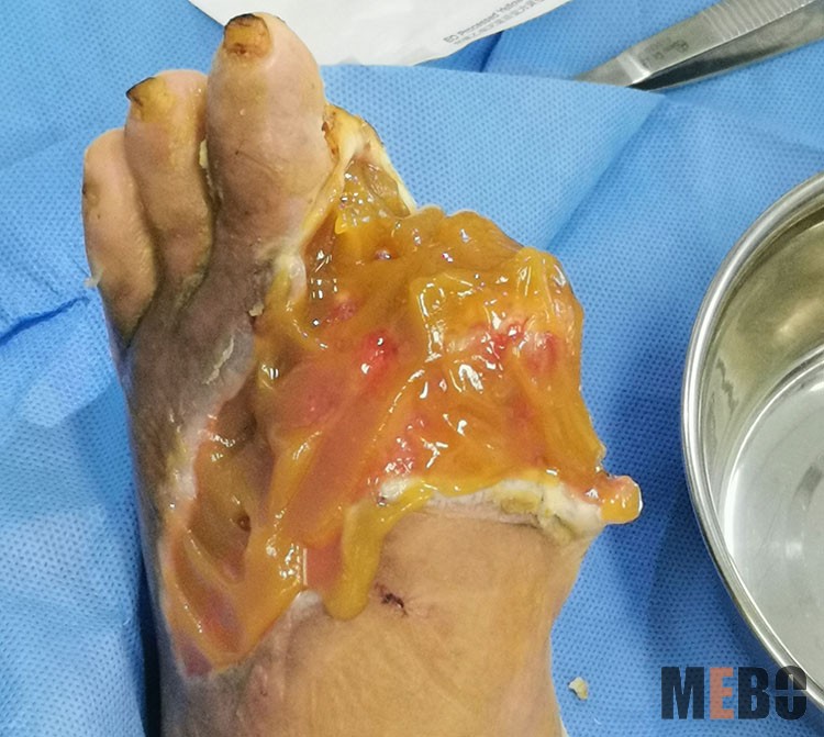 zoty中欧·(中国有限公司)官方网站