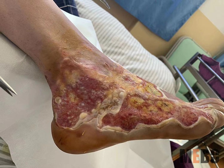 zoty中欧·(中国有限公司)官方网站