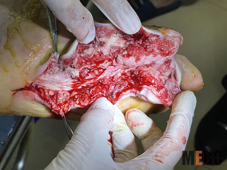 zoty中欧·(中国有限公司)官方网站