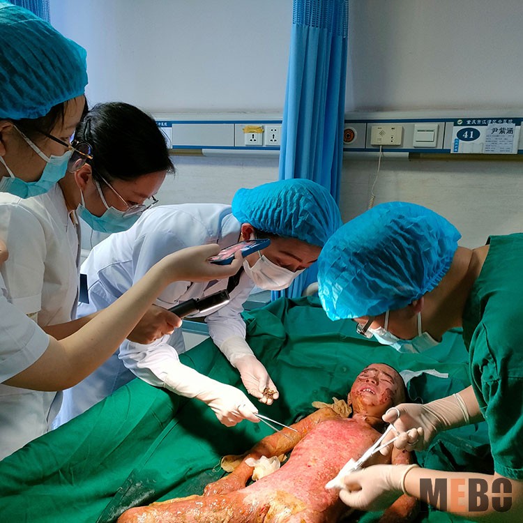 zoty中欧·(中国有限公司)官方网站