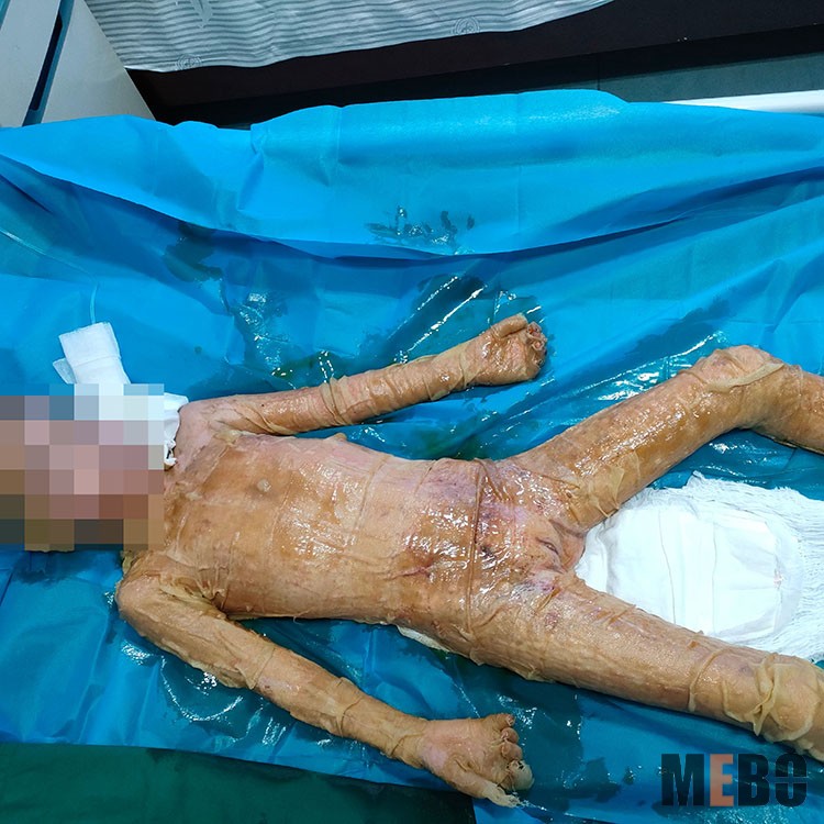 zoty中欧·(中国有限公司)官方网站