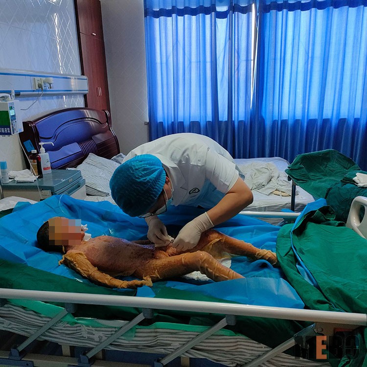 zoty中欧·(中国有限公司)官方网站