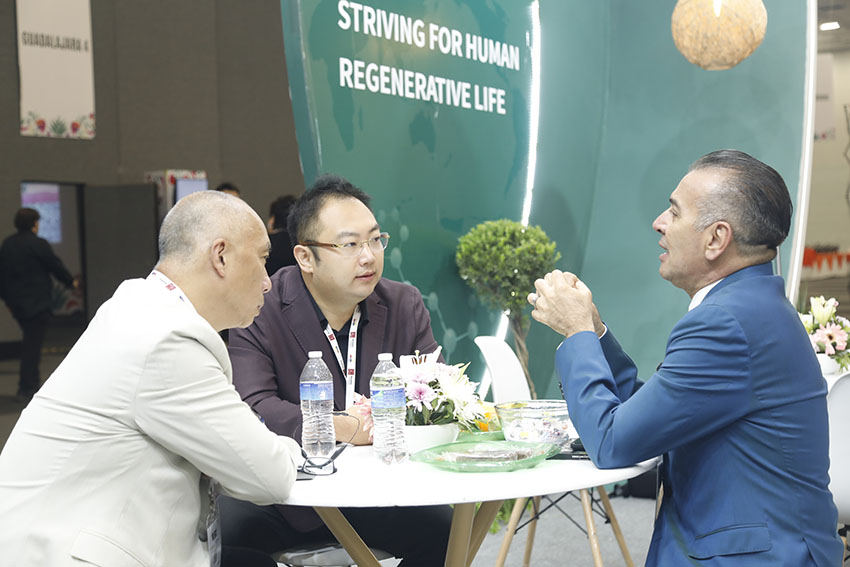 zoty中欧·(中国有限公司)官方网站