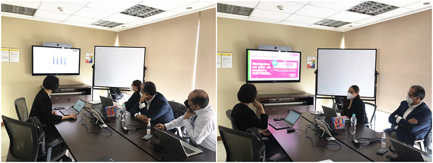 zoty中欧·(中国有限公司)官方网站