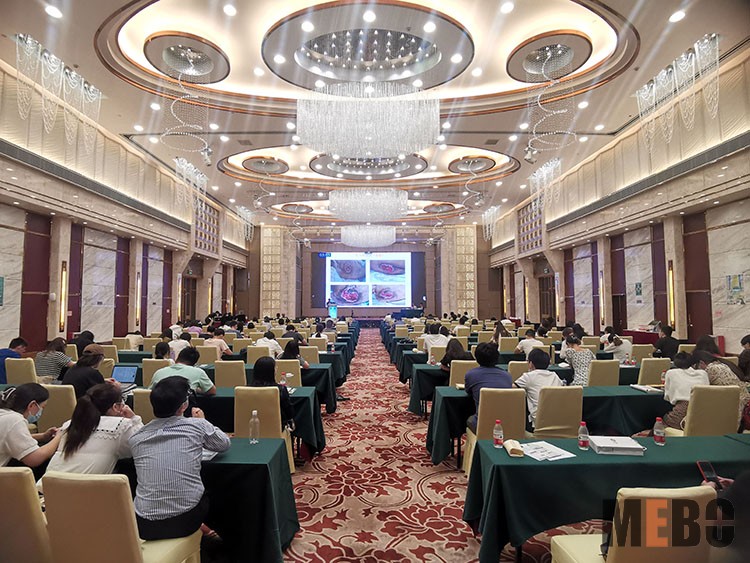 zoty中欧·(中国有限公司)官方网站