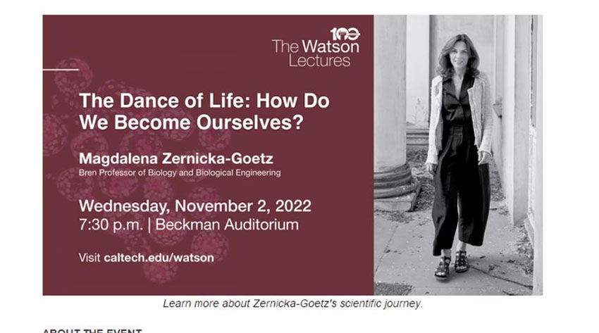 zoty中欧·(中国有限公司)官方网站