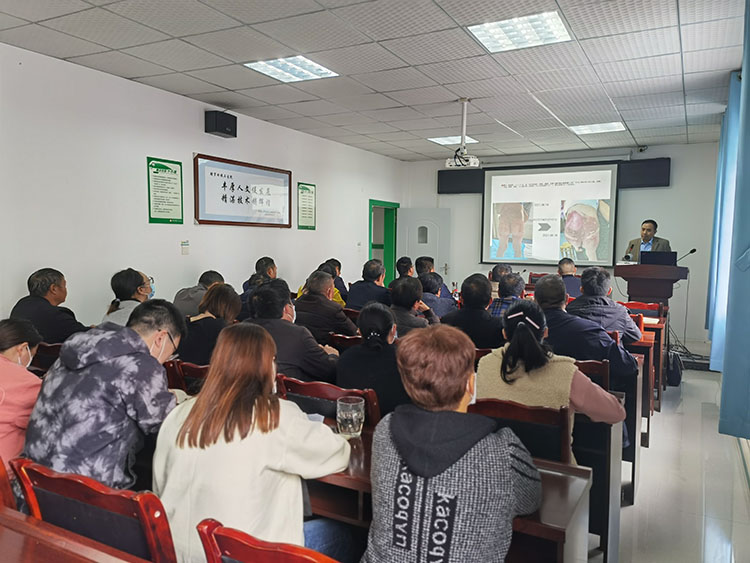 zoty中欧·(中国有限公司)官方网站