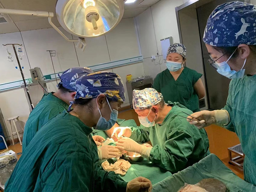 zoty中欧·(中国有限公司)官方网站