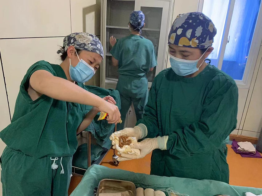 zoty中欧·(中国有限公司)官方网站