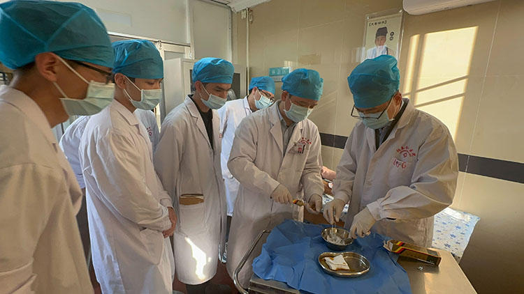 zoty中欧·(中国有限公司)官方网站