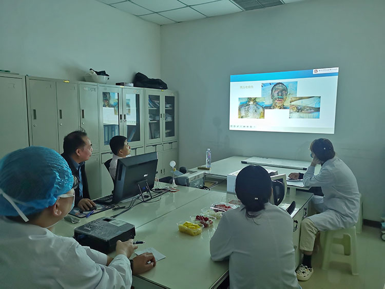 zoty中欧·(中国有限公司)官方网站