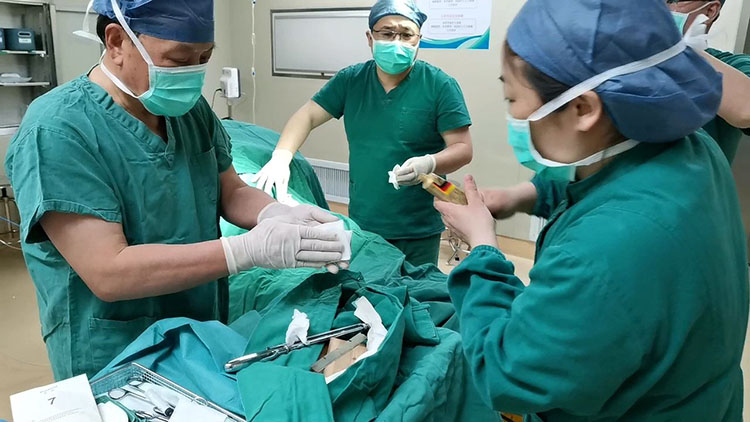 zoty中欧·(中国有限公司)官方网站