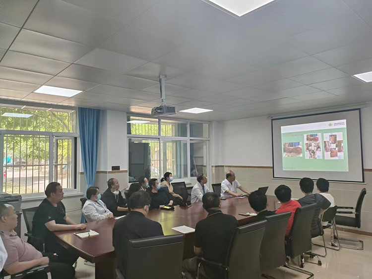 zoty中欧·(中国有限公司)官方网站