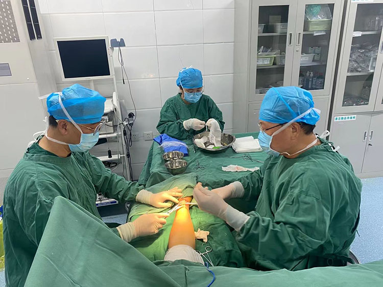 zoty中欧·(中国有限公司)官方网站