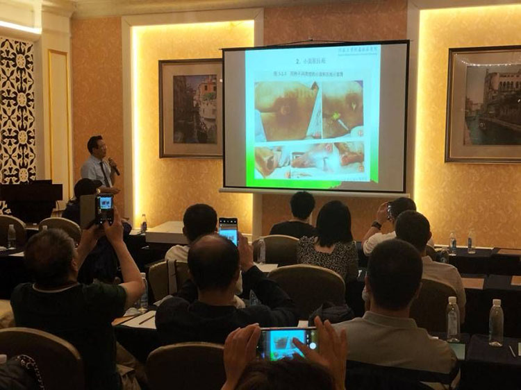 zoty中欧·(中国有限公司)官方网站