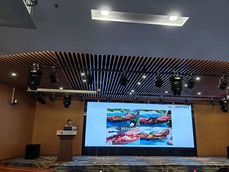 zoty中欧·(中国有限公司)官方网站