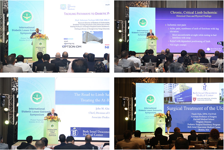 zoty中欧·(中国有限公司)官方网站