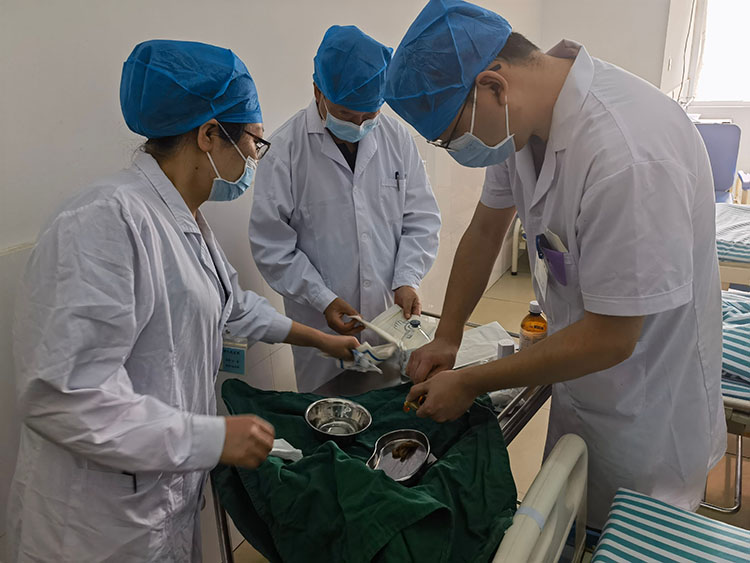 zoty中欧·(中国有限公司)官方网站