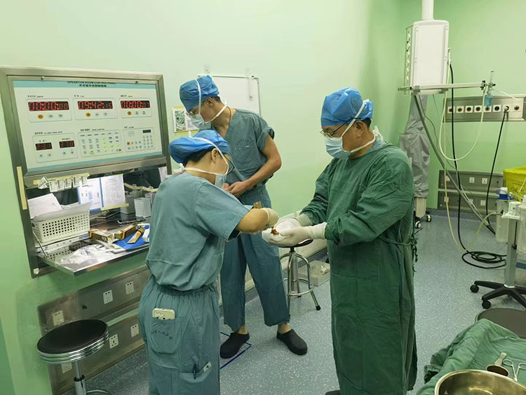 zoty中欧·(中国有限公司)官方网站