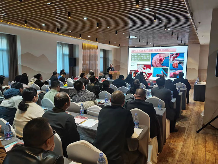 zoty中欧·(中国有限公司)官方网站