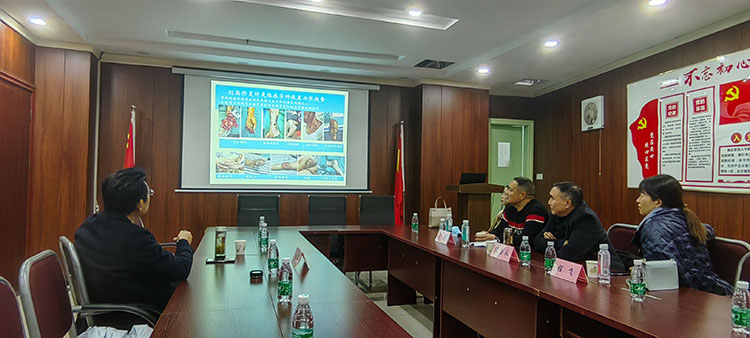 zoty中欧·(中国有限公司)官方网站