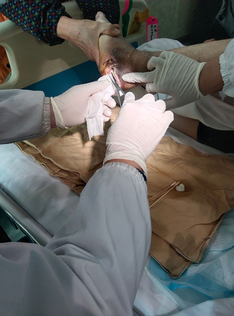 zoty中欧·(中国有限公司)官方网站