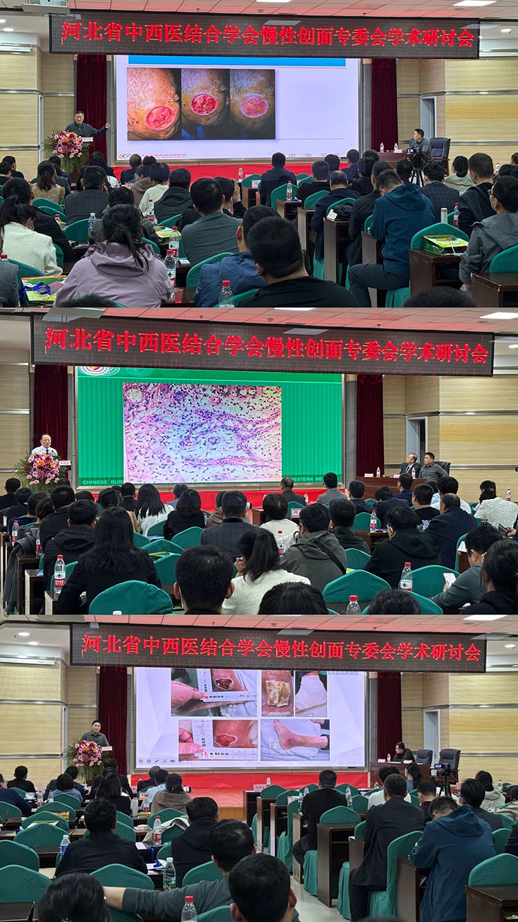 zoty中欧·(中国有限公司)官方网站