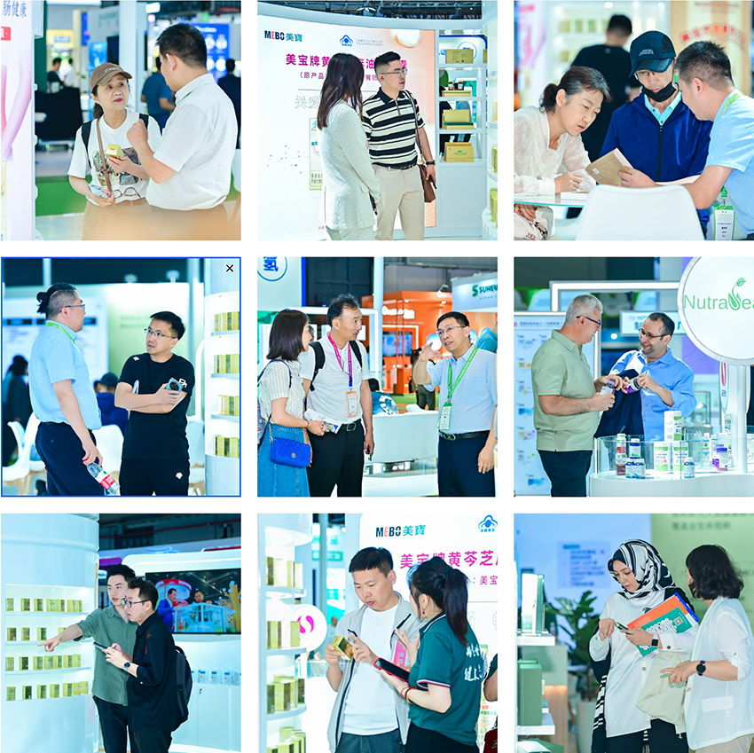 zoty中欧·(中国有限公司)官方网站