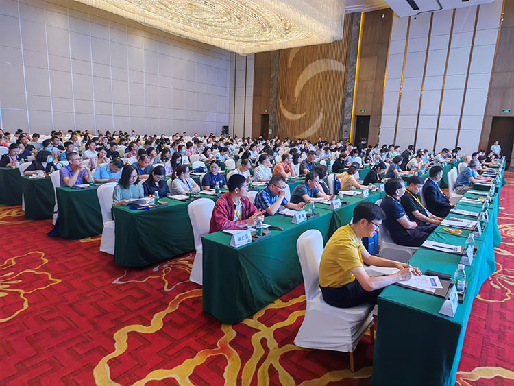 zoty中欧·(中国有限公司)官方网站