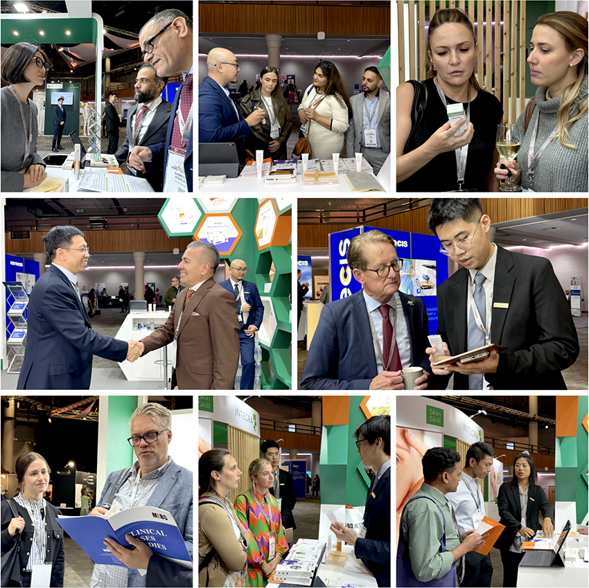 zoty中欧·(中国有限公司)官方网站