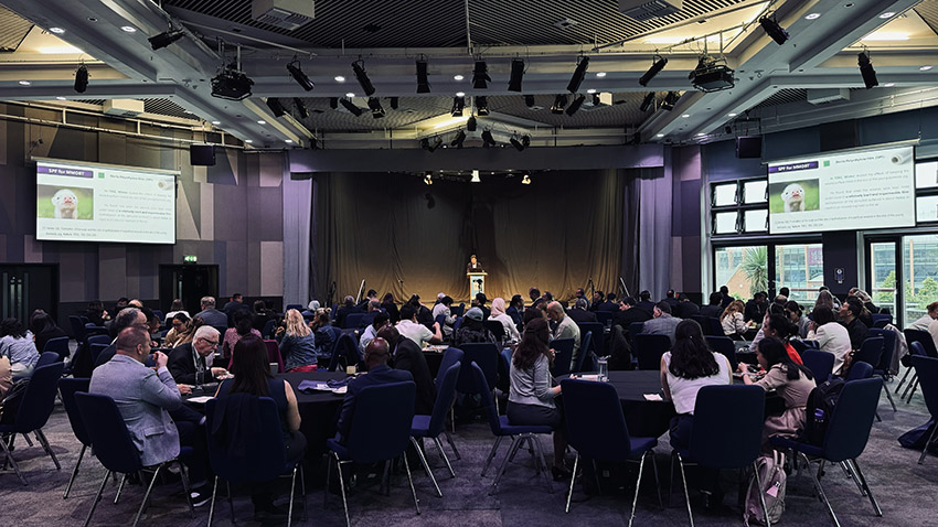 zoty中欧·(中国有限公司)官方网站