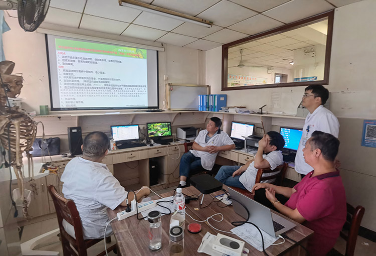 zoty中欧·(中国有限公司)官方网站