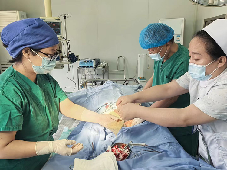 zoty中欧·(中国有限公司)官方网站