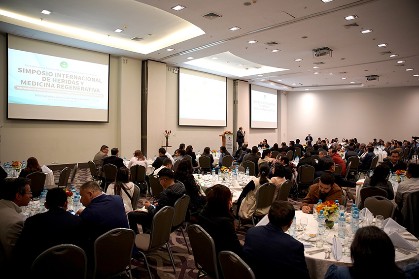 zoty中欧·(中国有限公司)官方网站