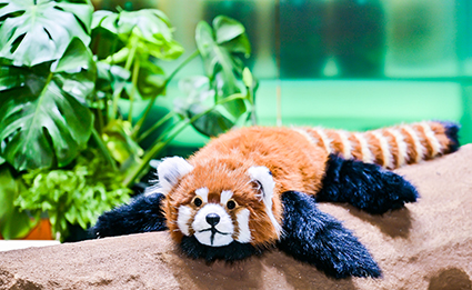 zoty中欧·(中国有限公司)官方网站