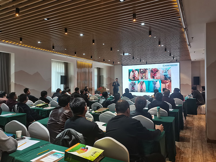 zoty中欧·(中国有限公司)官方网站