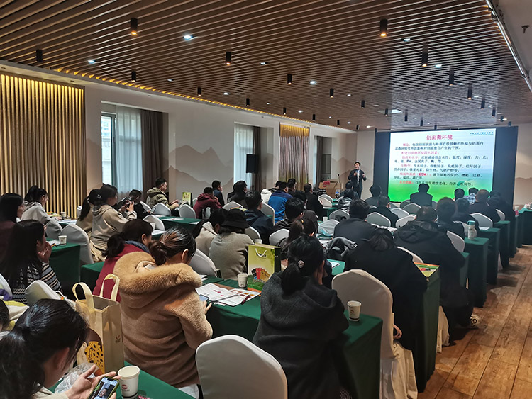 zoty中欧·(中国有限公司)官方网站