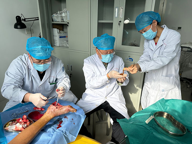 zoty中欧·(中国有限公司)官方网站