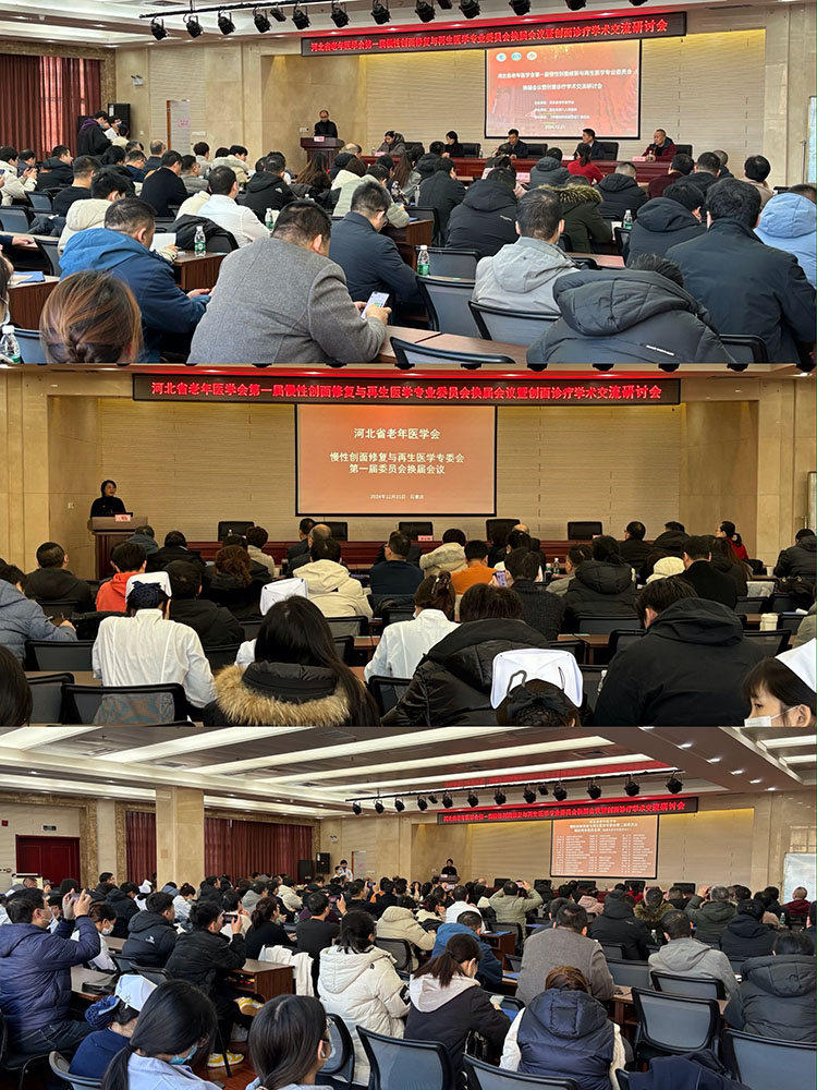 zoty中欧·(中国有限公司)官方网站