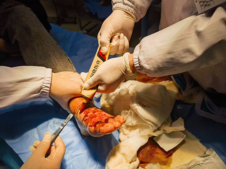 zoty中欧·(中国有限公司)官方网站