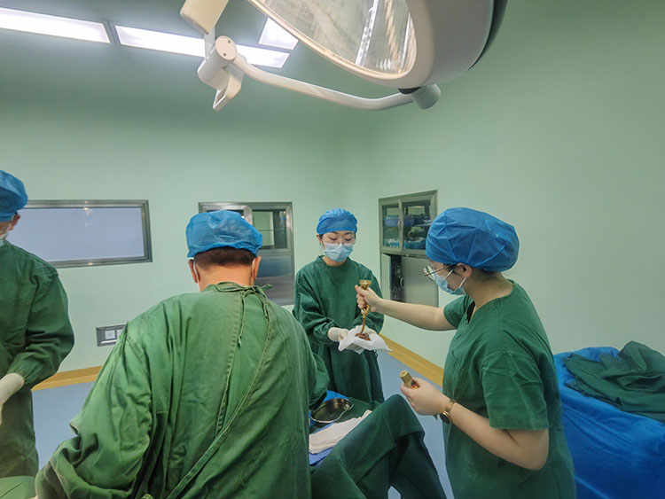 zoty中欧·(中国有限公司)官方网站