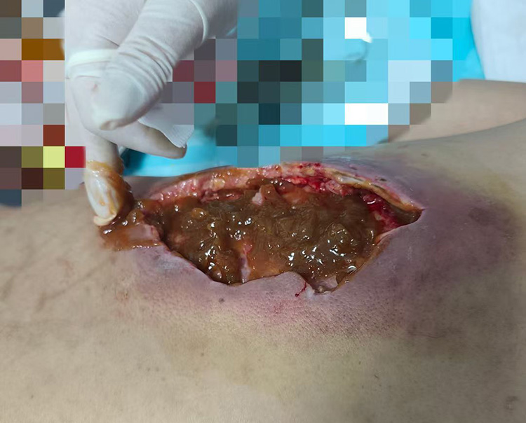 zoty中欧·(中国有限公司)官方网站