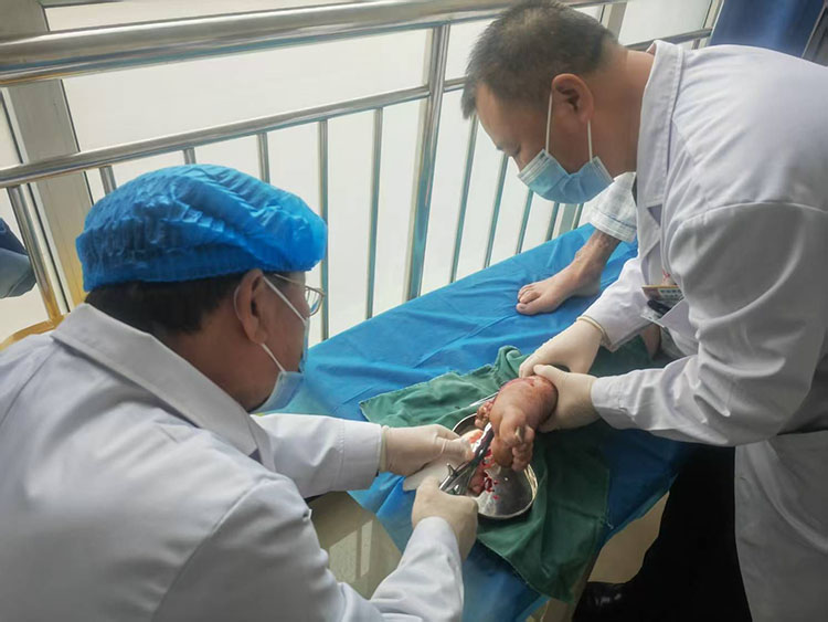 zoty中欧·(中国有限公司)官方网站