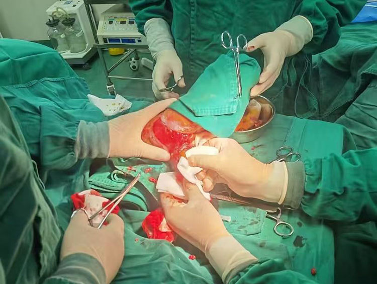 zoty中欧·(中国有限公司)官方网站