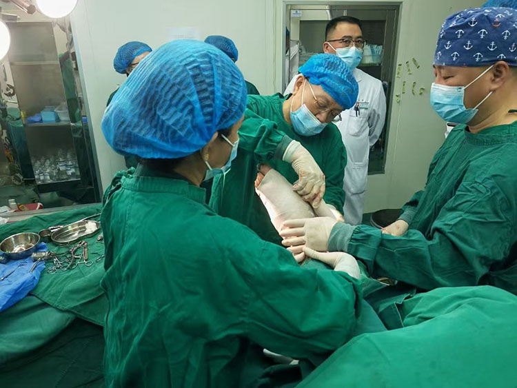 zoty中欧·(中国有限公司)官方网站